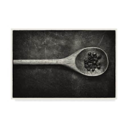 Claude Laramee 'Wooden Spoon' Canvas Art,16x24